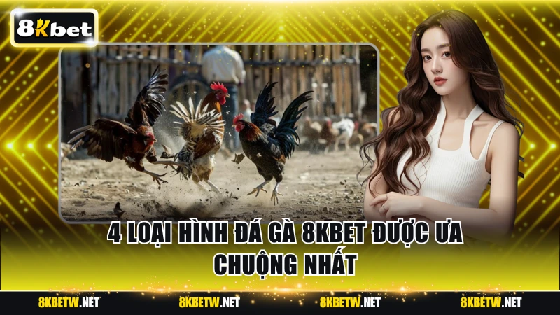 4 loại hình đá gà 8KBET được ưa chuộng nhất