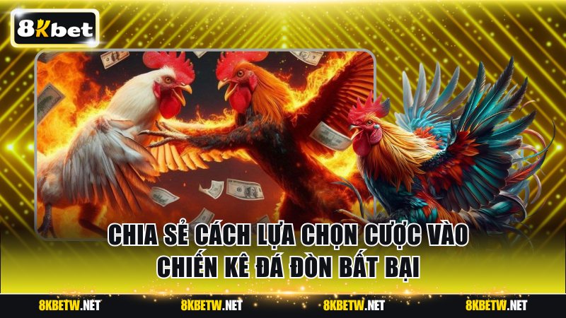 Chia sẻ cách lựa chọn cược vào chiến kê đá đòn bất bại