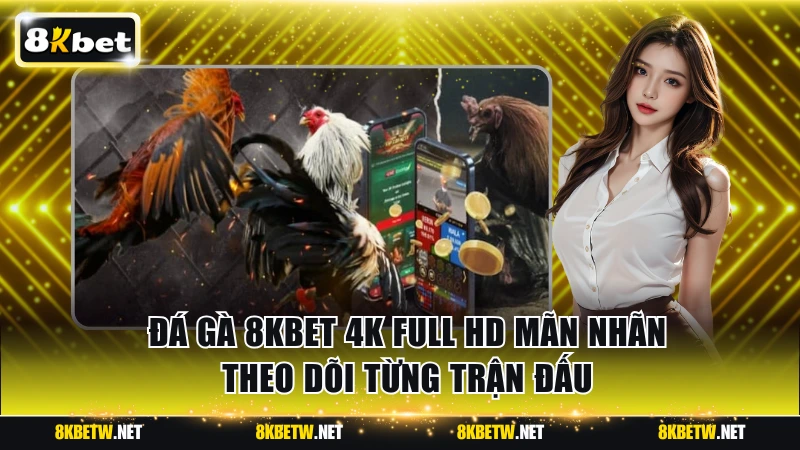 Đá gà 8KBET 4K Full HD Mãn Nhãn Theo Dõi Từng Trận Đấu
