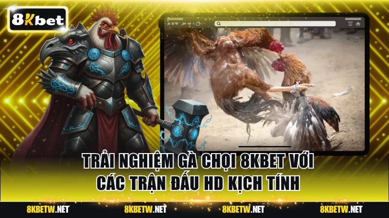 Gà chọi 8KBET