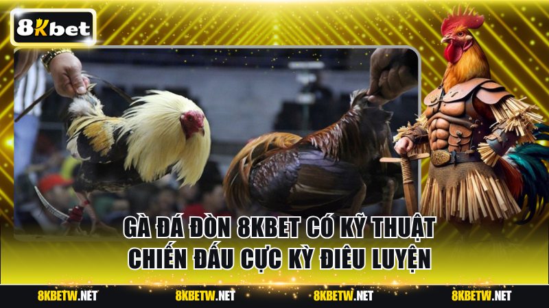 Gà đá đòn 8KBET