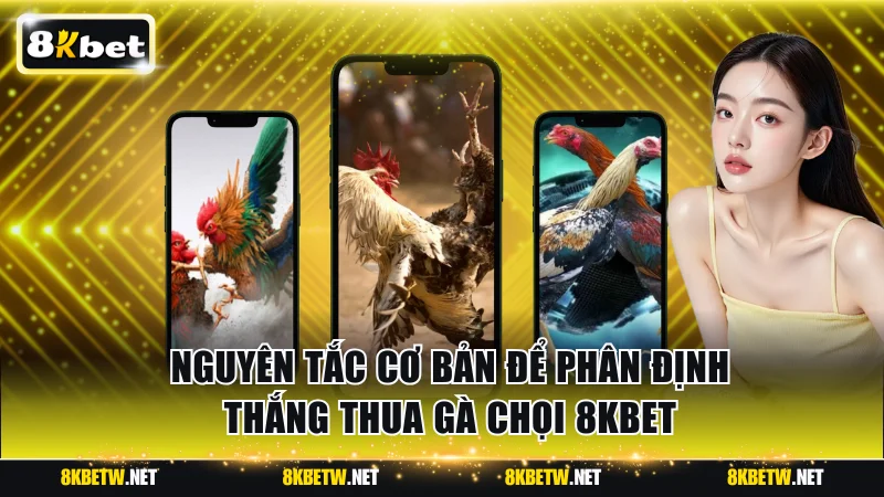 Nguyên tắc cơ bản để phân định thắng thua gà chọi 8KBET